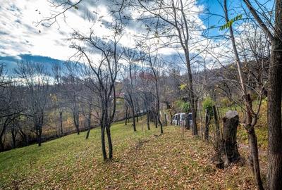 Teren intravilan 4384 mp - Comuna Talea,  judetul Prahova - 4