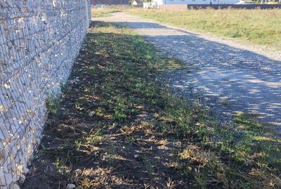 Spațiu comercial, în Florilor - 3