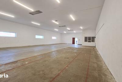 Spațiu comercial, de 245 mp, în Eminescu - 1