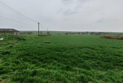 Teren de 7016 mp, în Tortoman - 3