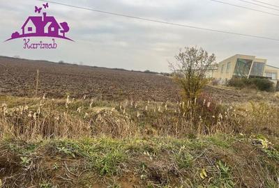 Teren pentru hale soseaua Nojorid Les - 3