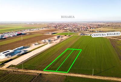 Teren intravilan de 5500 mp, în Biharia - 7