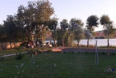 HORIA - 3 CAMERE ,SUPRAFATA 100 MP,TEREN 3000 MP CU DESCHIDE - 17