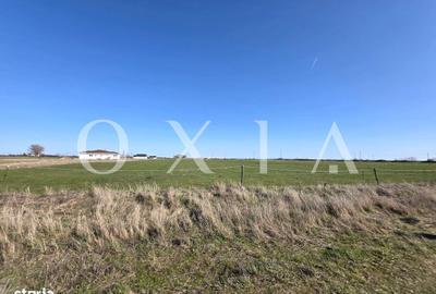 Spațiu comercial, în Giroc - 5