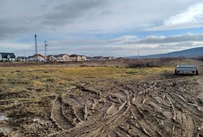 Parcela casă, 812 mp, Rontău. 42 000 E. Comision 0. - 6