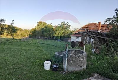 5.000 mp intravilan in Rascruci - aproape de Cluj si Parcul Industrial - 5