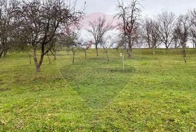 Casă cu 5 camere cu Teren 6328 Mp în Giulești - 3