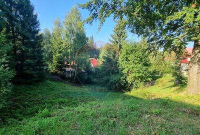 Teren cu Autorizatie de constructie/ Pensiune de lux ... Teren cu Autorizatie de constructie/ Pensiune de lux ... - 4