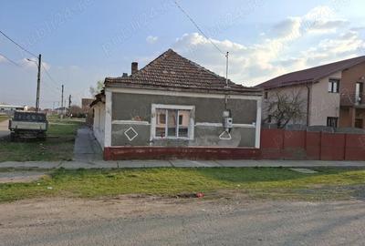 Casă cu Teren 487 Mp în Săcălaz - 3