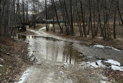 Teren de 2500 mp, în Someșu Rece - 5