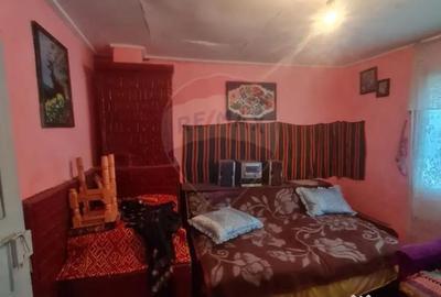 Casă cu 3 camere cu Teren 1273 Mp în Jiliște - 7