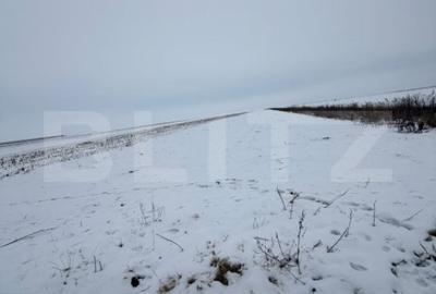 Teren de 9000 mp, în Tărlungeni - 1