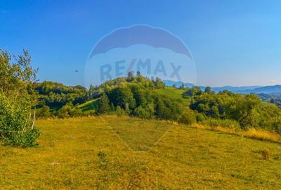 Teren agricol extravilan de 6014 mp, în Holbav - 8