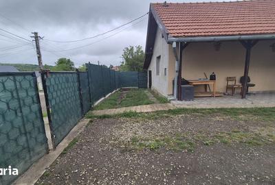 Casă cu 3 camere cu Teren 3300 Mp în Crișeni - 14