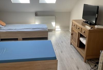 Complex-Lunei,la 5 min.de Prefectu;,10 camere,cas&#25; multifuncțional&#25 - 5