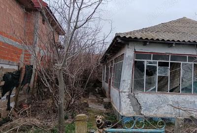 Casa batraneasca Casa batraneasca - 2