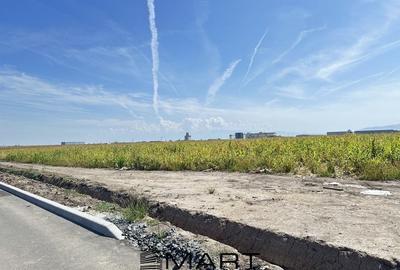 Teren cu PUZ aprobat 9000mp - Industrial Vest - 2