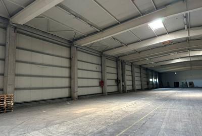 Spatiu depozitare - logistica 2.519 mp si birouri Chiajna A1 - 9