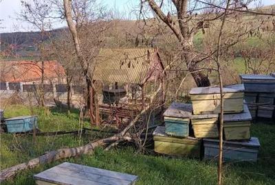 Teren de 6400 mp, în Dijir - 6