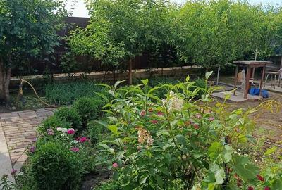 Casă cu 8 camere cu Teren 500 Mp în Cazasu - 3