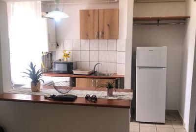 Apartament cu 2 camere, mobilat în Brotăcei - 14