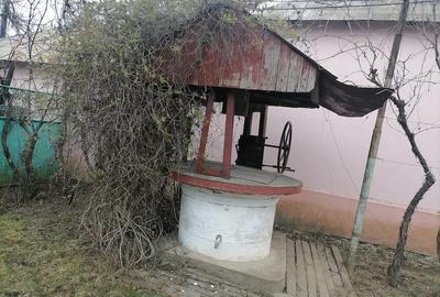 Casă cu Teren 4000 Mp în Străoane - 5