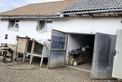 Vand casa+teren, zona Cicarlau, pret usor negociabil! - 4