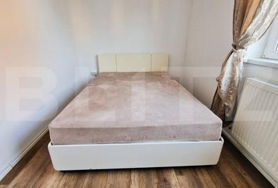 Ideal investitie! 2 apartamente cu 2 camere fiecare, curte privata, Tineretului - 10