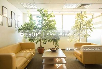 Spațiu comercial, de 260 mp, în Barbu Văcărescu - 6