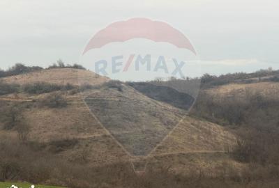Teren de 18800 mp, în Vințu de Jos - 3