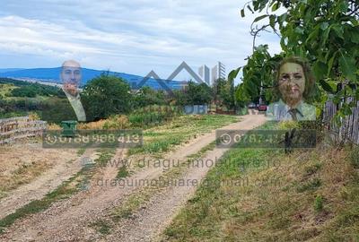 Teren generos 2240 mp cu casă bătrânească - Copăcești, județul Vrancea - 7