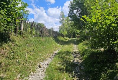 REL4001173 Teren de vanzare in Valea Doftanei - 6
