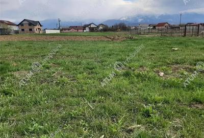 Teren de 1400 mp, în Central - 6