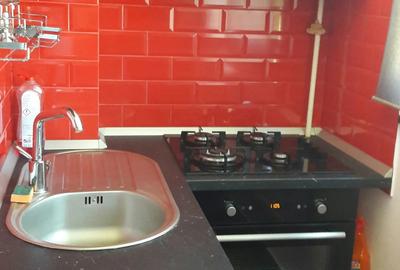 Apartament 3camere duplex Pack Lake - 6