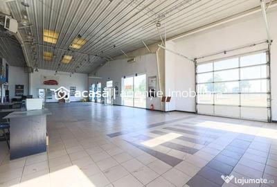 Spațiu comercial, de 1,250 mp, în Micălaca - 12