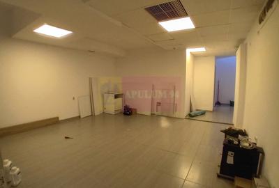 106 mp demisol | Acces separat, utilități incluse - 3