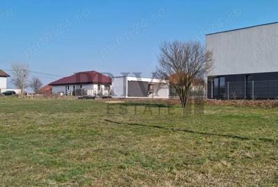 Teren Construcții intravilan de 701 mp, în Dumbrăvița