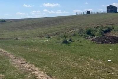 Teren Construcții intravilan de 1000 mp, în Sălicea