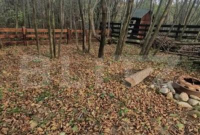 Casă cu 4 camere cu Teren 400 Mp în Tohanu Nou - 4