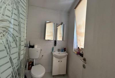 Spatiu Comercial P+1, 272 MP teren, 146 MP utili, Zona Parcul Romanescu - 12