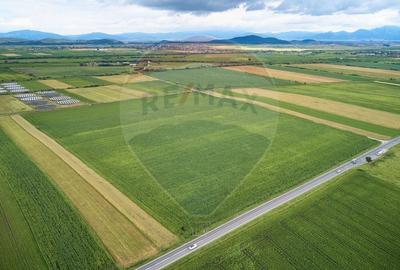 DE VANZARE| Teren industrial 59,600mp Feldioara / DN 13 0% COMISION!