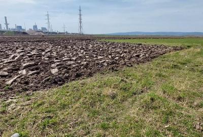 Teren Construcții intravilan de 7000 mp, în Mureșeni