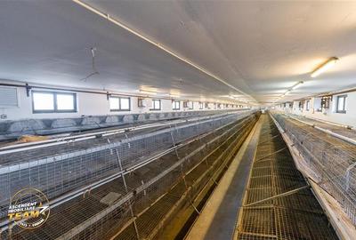 Spațiu comercial, de 794 mp, în Malnaș - 10