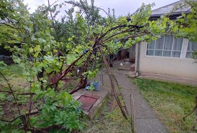 Casă individuală cu 3 camere cu Teren 2140 Mp în Hoisești - 2