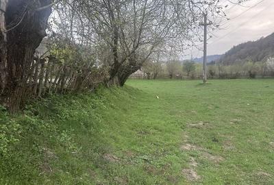 Spațiu comercial, în Dragoslavele - 8