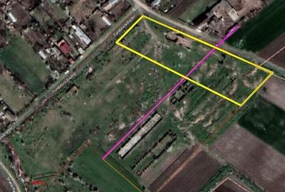 Teren agricol intravilan de 38000 mp, în Ghizdaru - 3