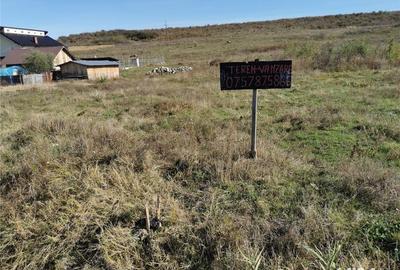 Teren de 5000 mp, în Ciurea - 4