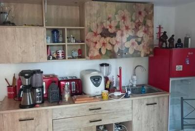 Casă cu 2 camere în Șimian - 4