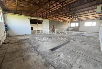 Vanzare complex industrial *hala 682 mp + teren 2,5 ha* - Tetila - 3
