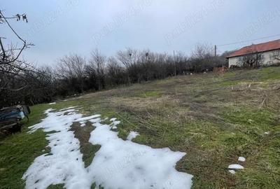 Casă cu Teren 1418 Mp în Băneasa - 4